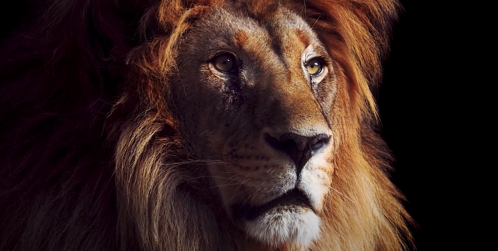 Муфаса: Король лев (2024) - фото №1