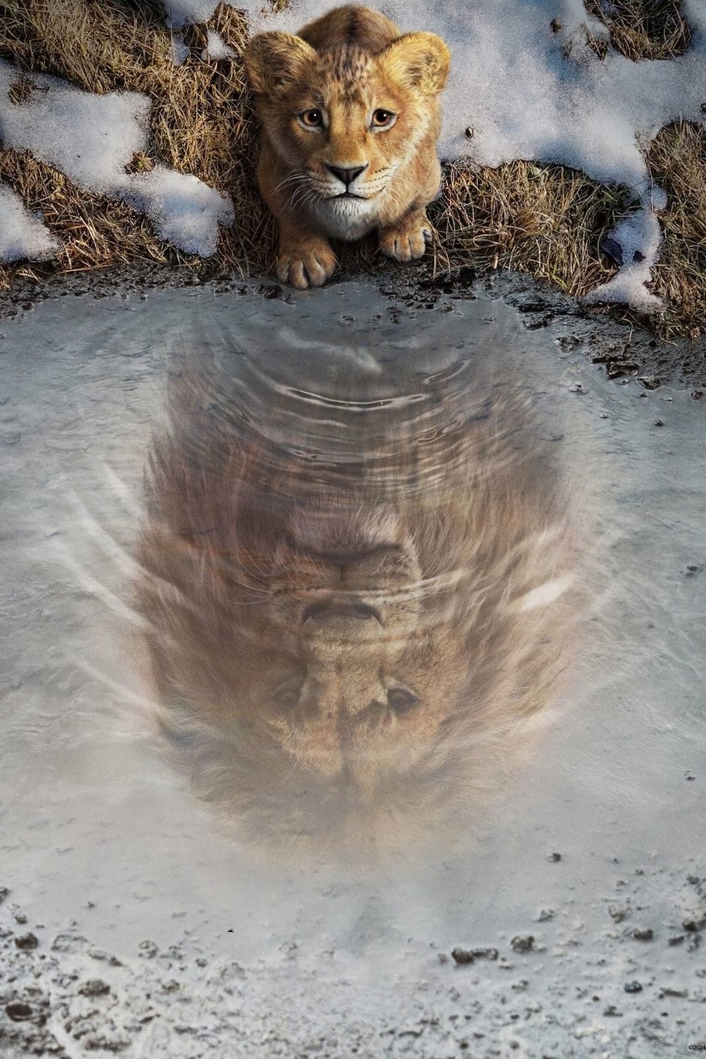 Муфаса: Король лев (2024) - фото №6
