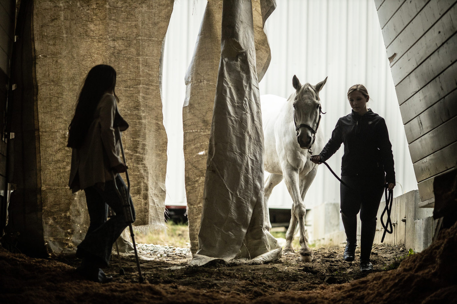 Галопом к мечте (2022) - фото №8 Галопом к мечте (2022) - фото №8