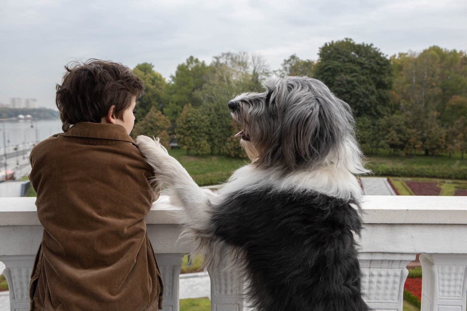 Каждый мечтает о собаке (2023) - фото №2