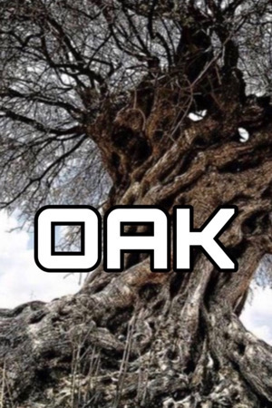 https://igrapoisk.com/film/961828