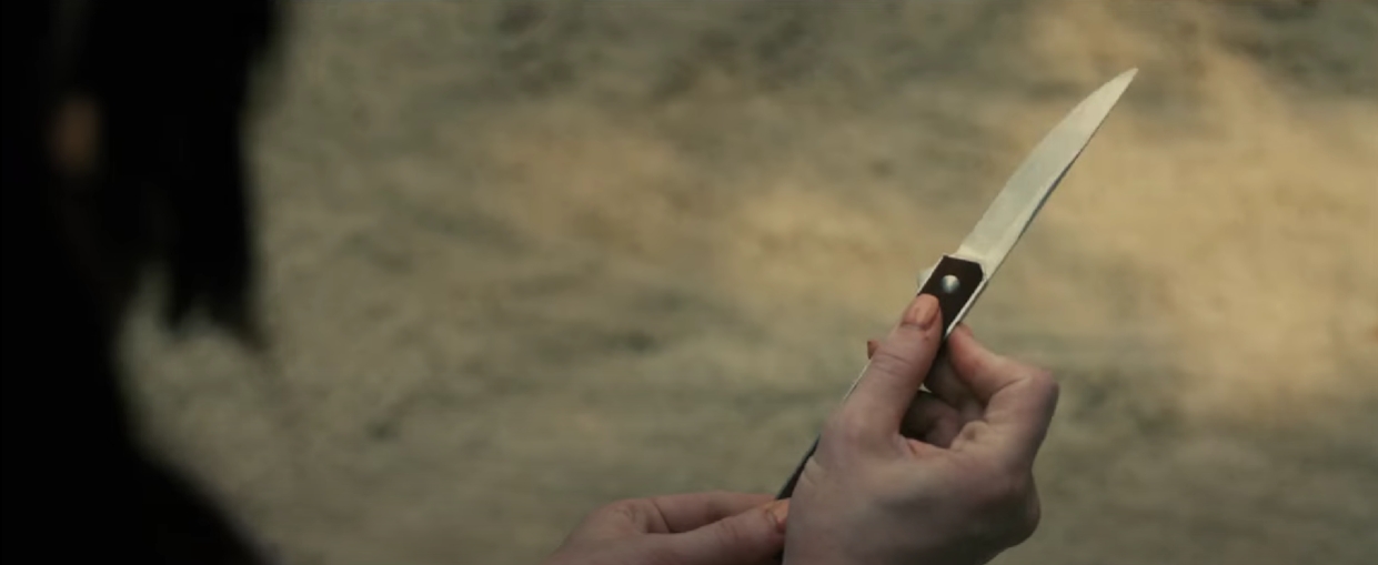 Компаньон (2025) - фото №8 Компаньон (2025) - фото №8