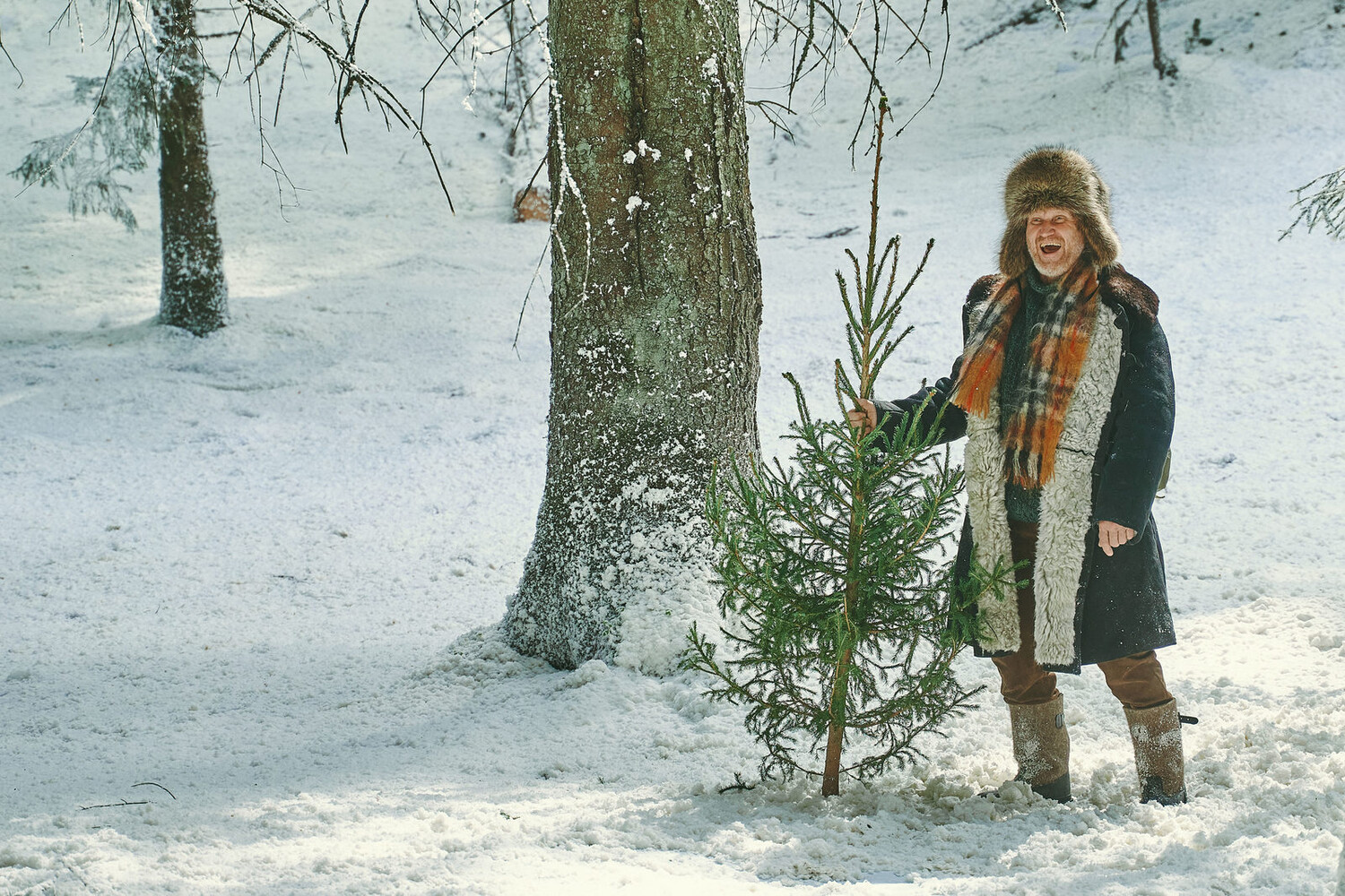 Ёлки 12 (2025) - фото №6