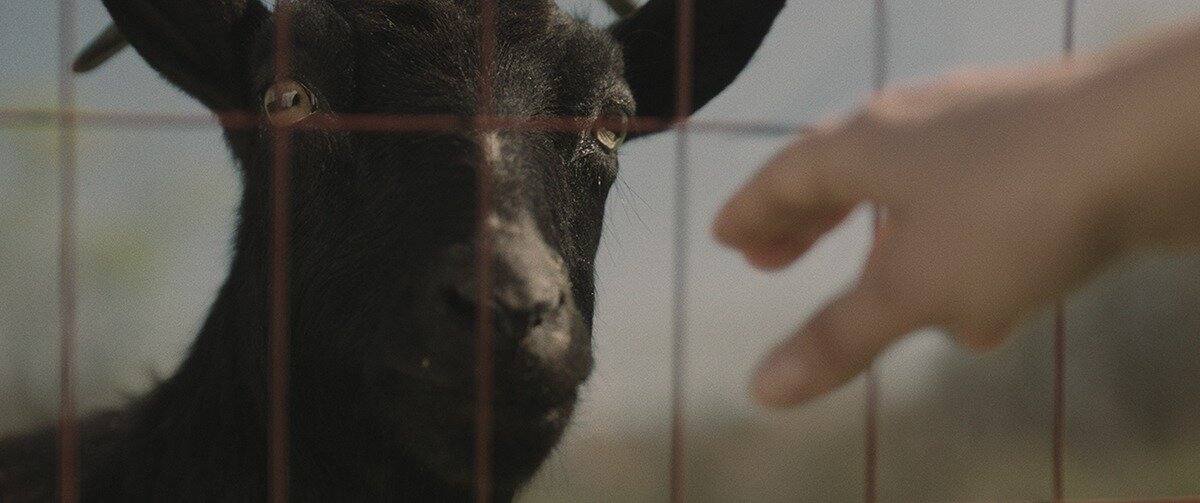 Синистер. Первое проклятие (2025) - фото №9