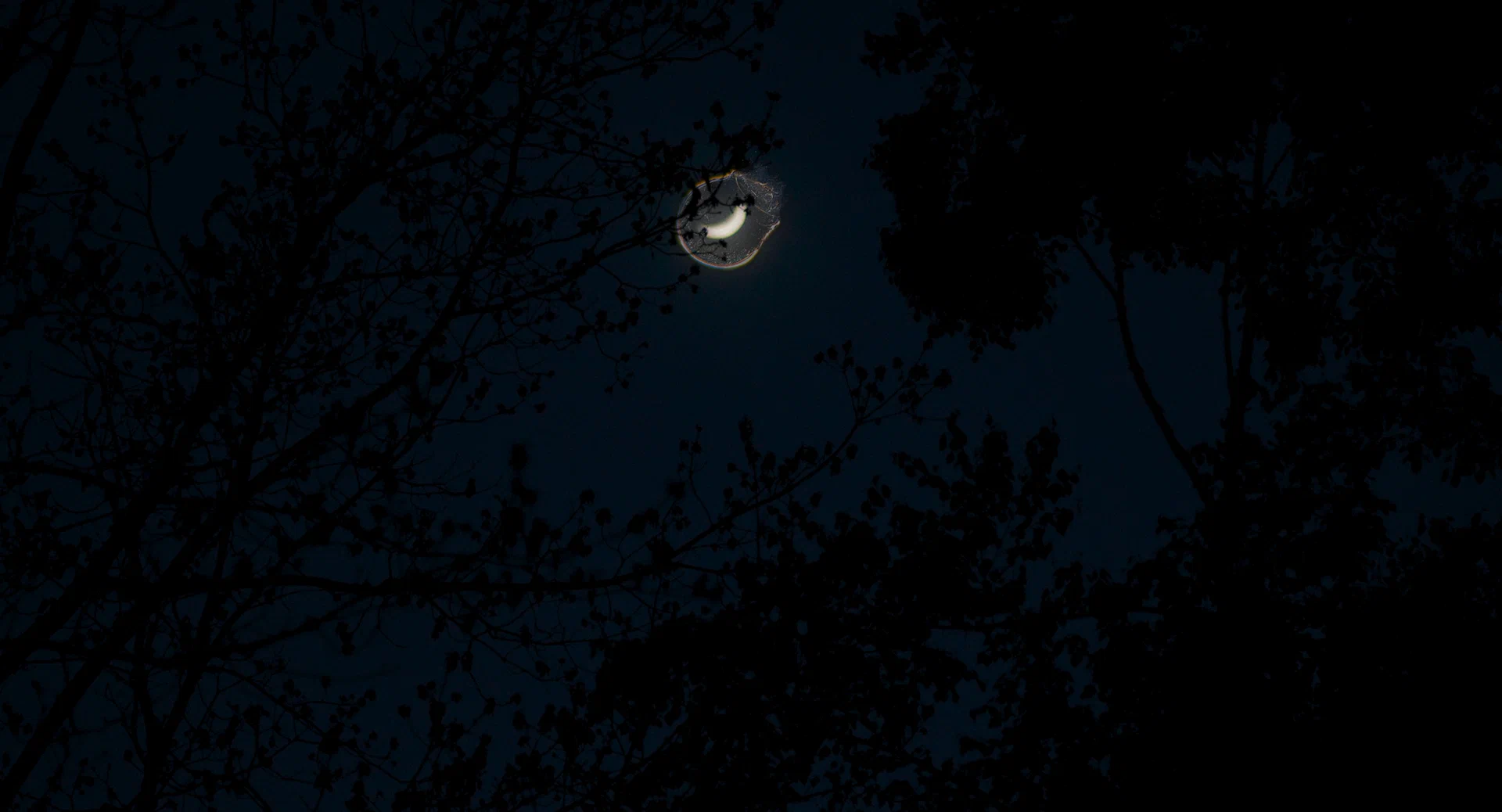 Молчаливый друг (2025) - фото №6