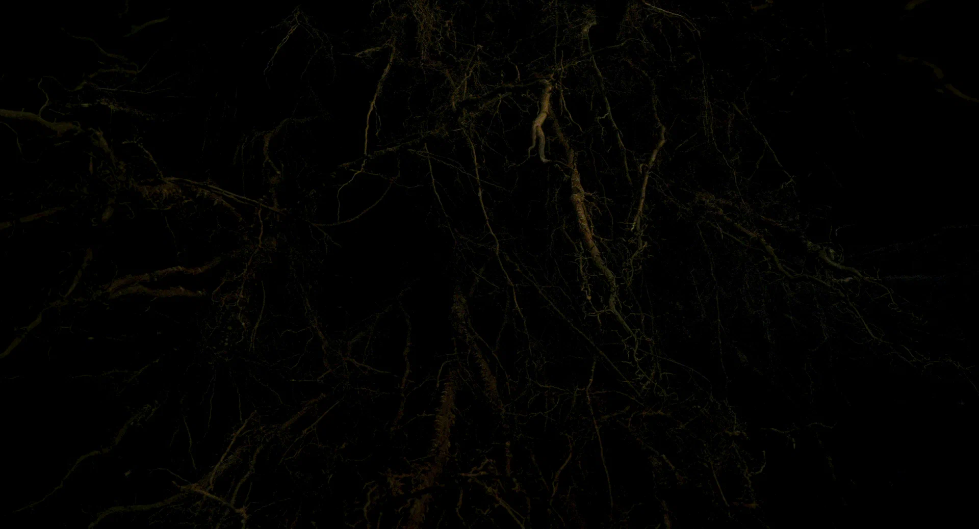 Молчаливый друг (2025) - фото №11