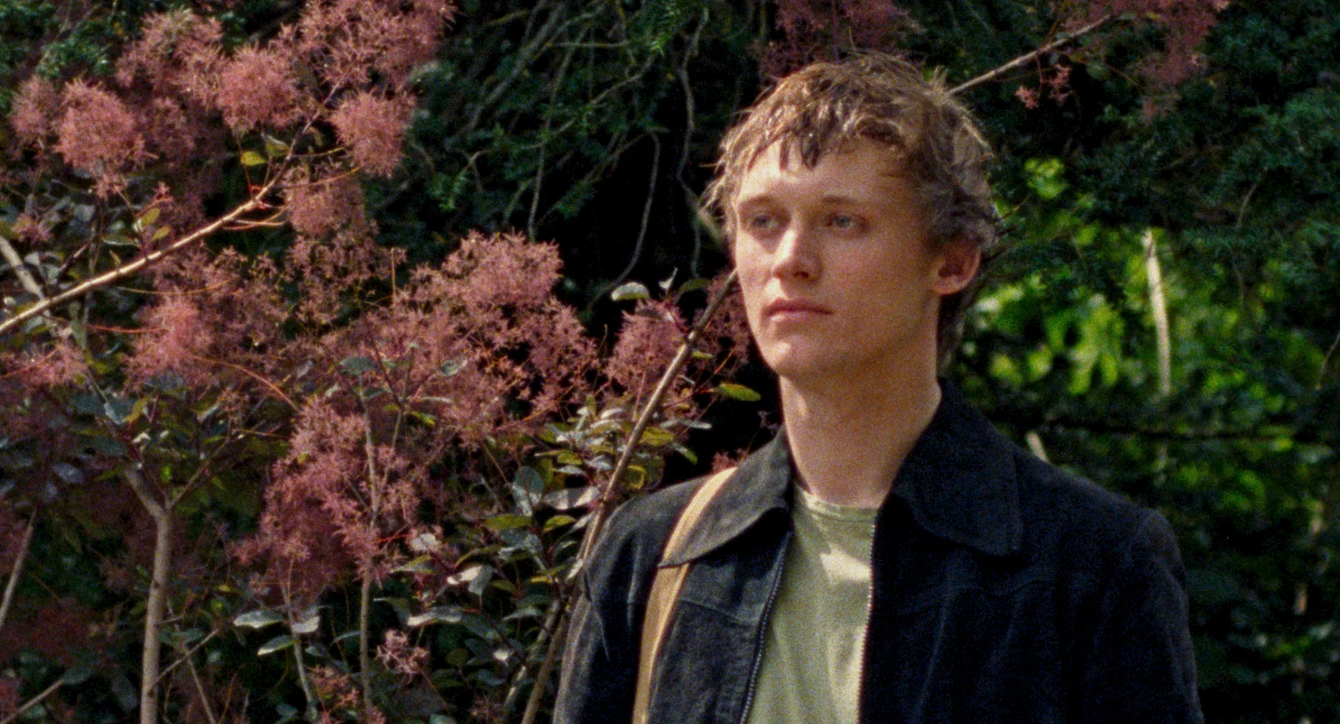 Молчаливый друг (2025) - фото №3