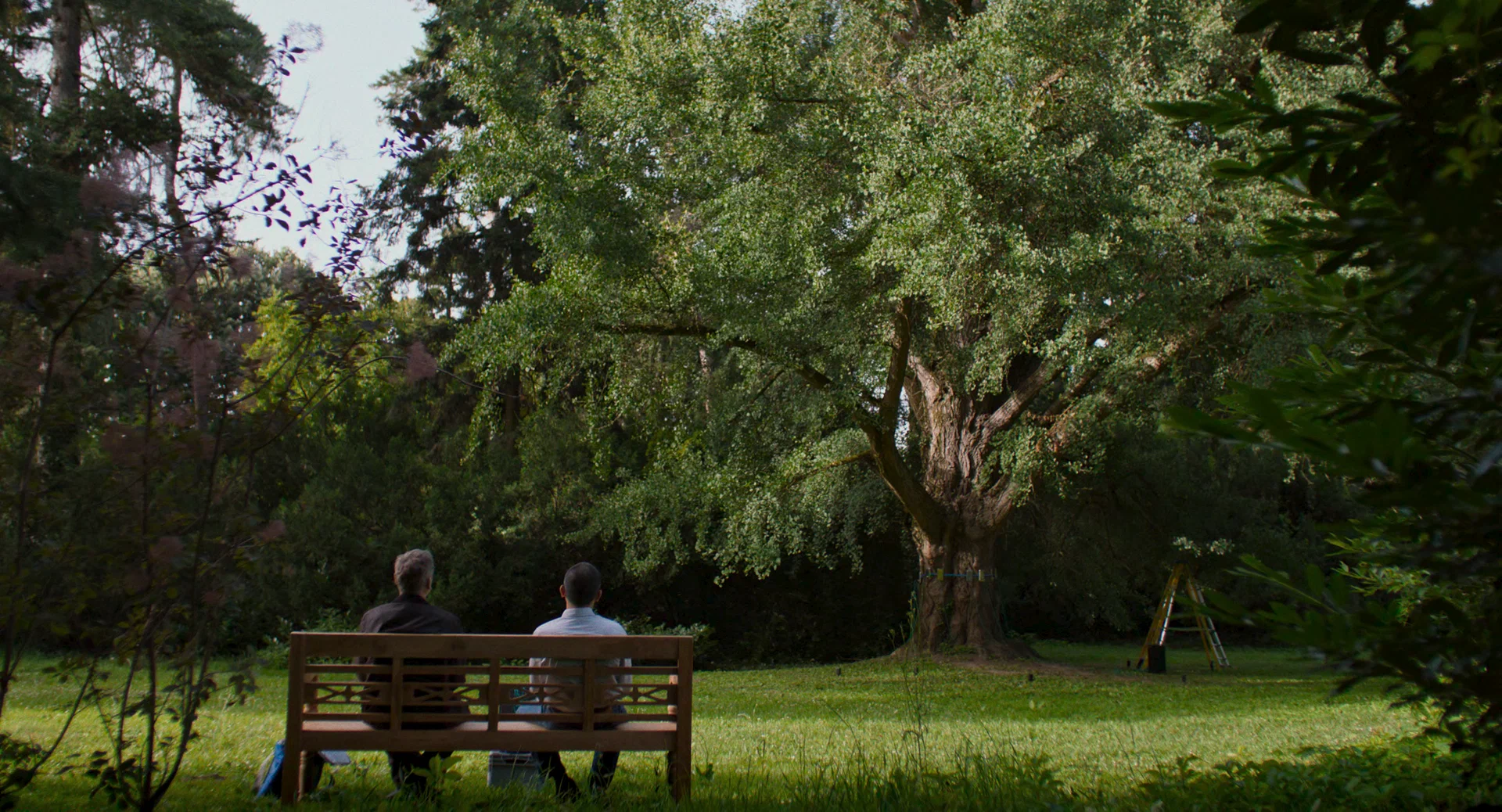 Молчаливый друг (2025) - фото №7