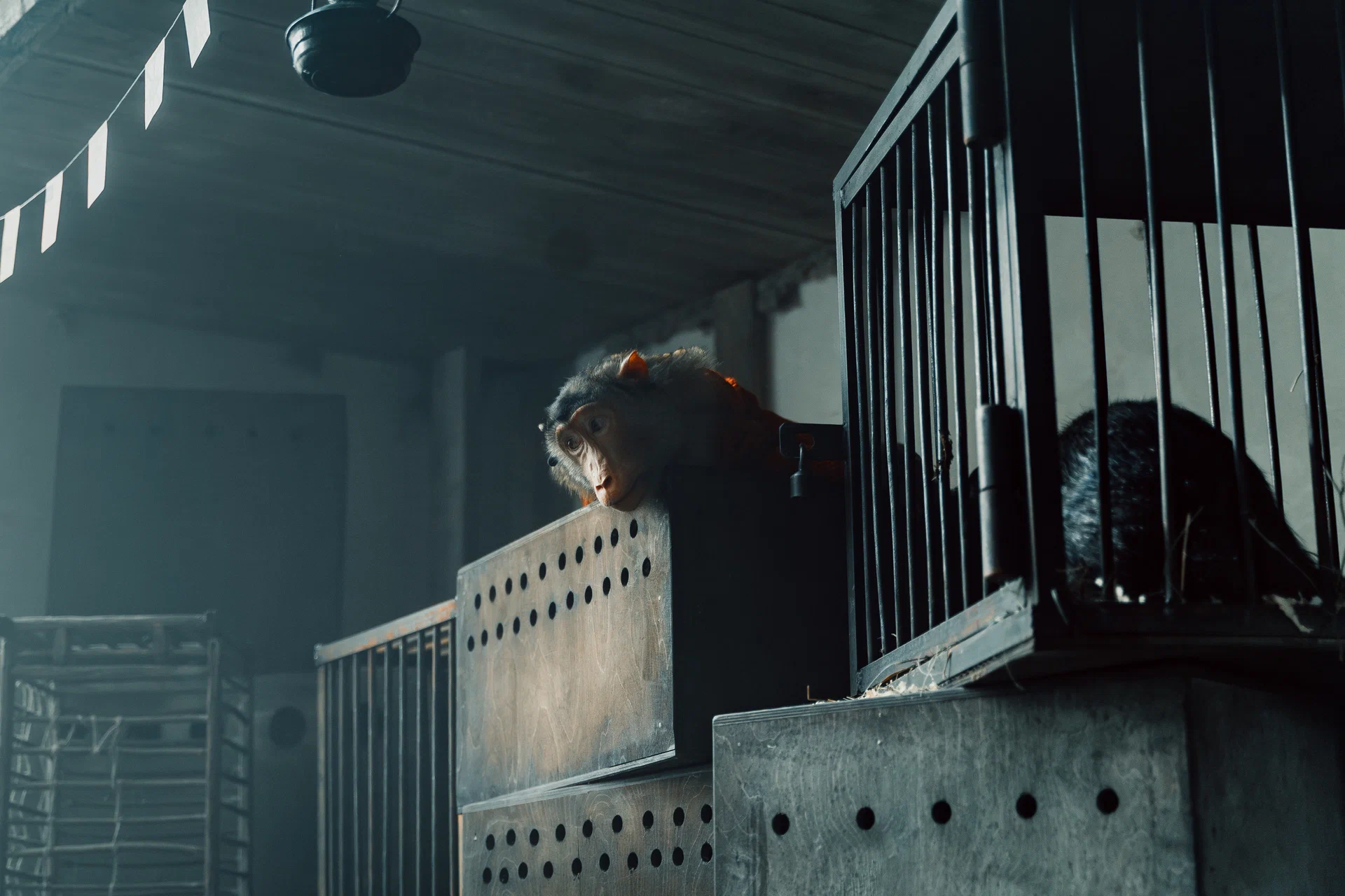 Красавица (2026) - фото №12