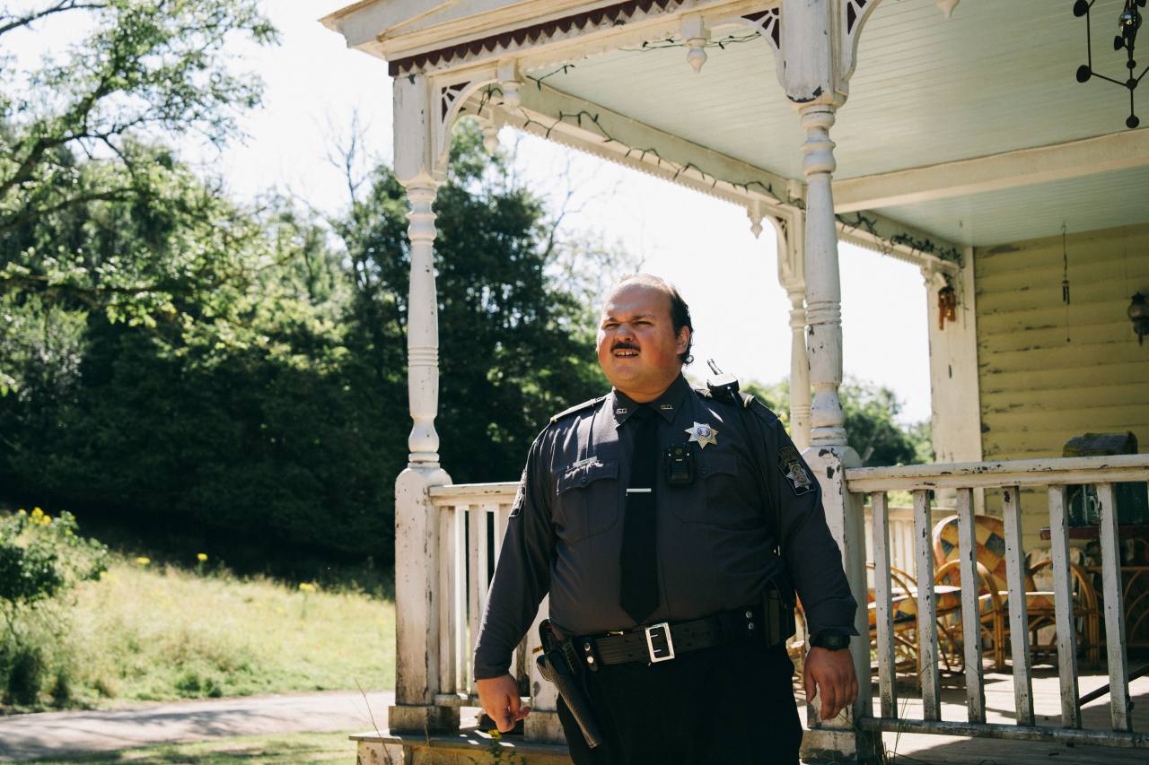 Бугония (2025) - фото №1 Бугония (2025) - фото №1