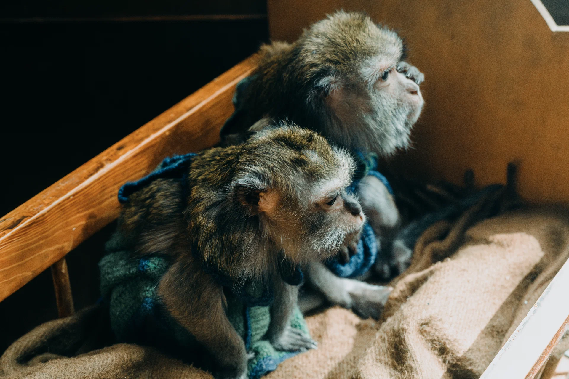 Красавица (2026) - фото №4