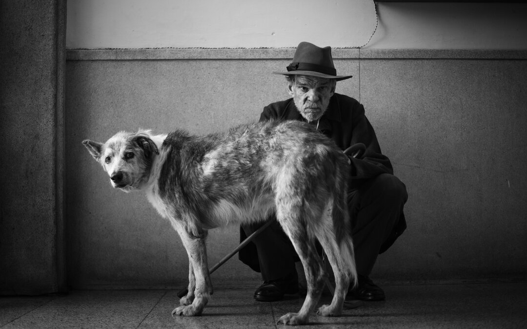 Посторонний (2025) - фото №3