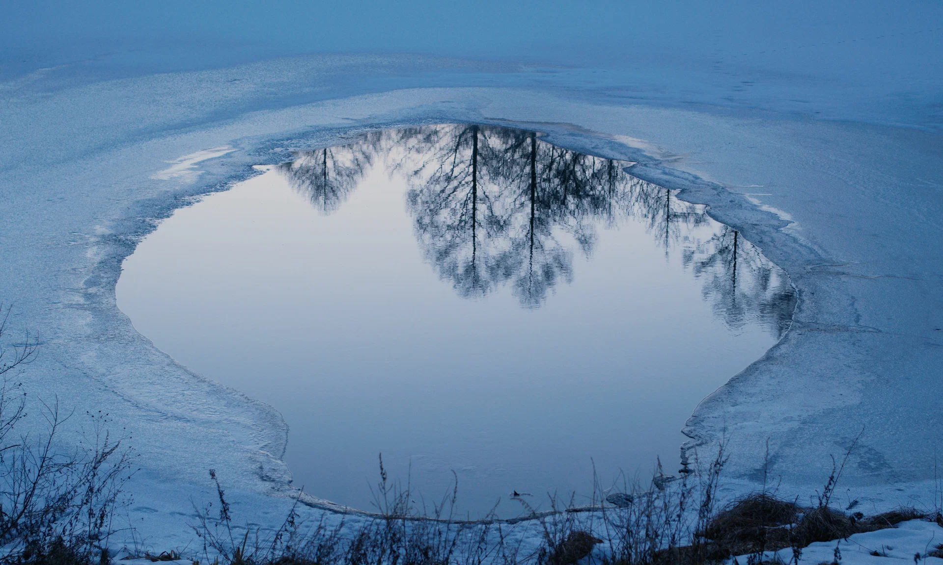 Зло не существует (2023) - фото №9
