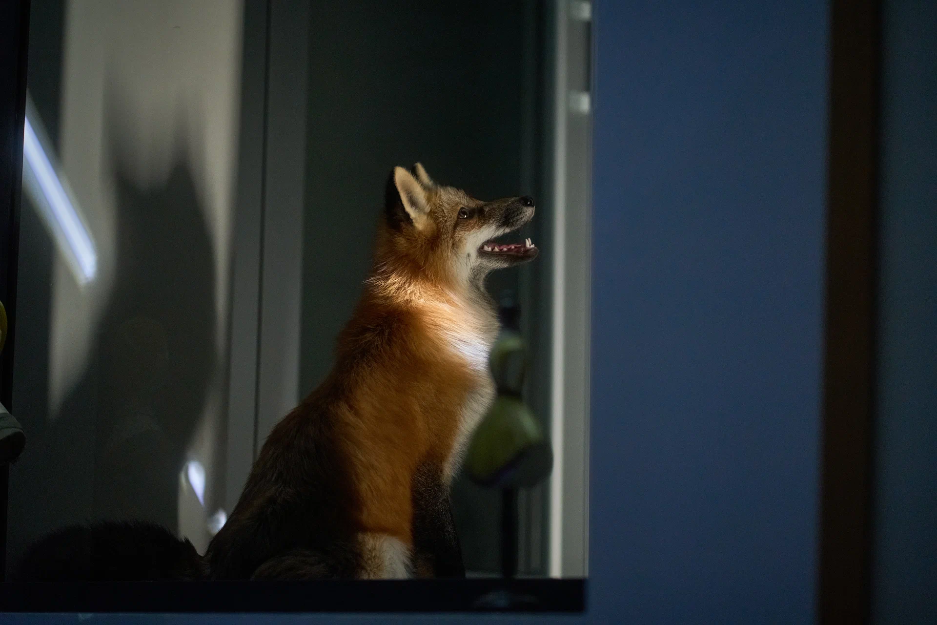 Жемчуг (2025) - фото №9