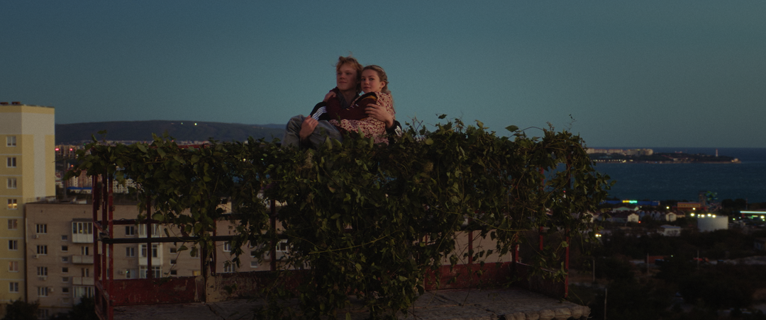 Тюльпаны (2026) - фото №1