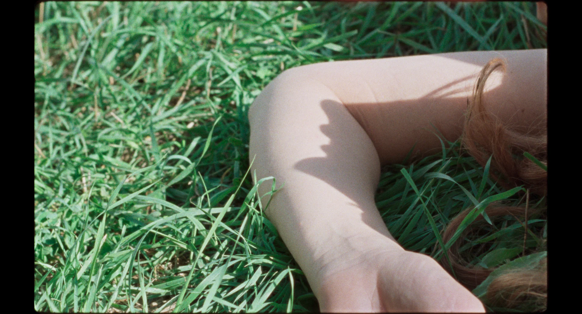 Химера (2023) - фото №1