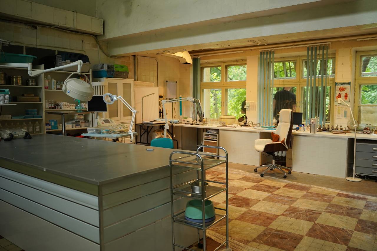 Доктор Гаф (2026) - фото №5