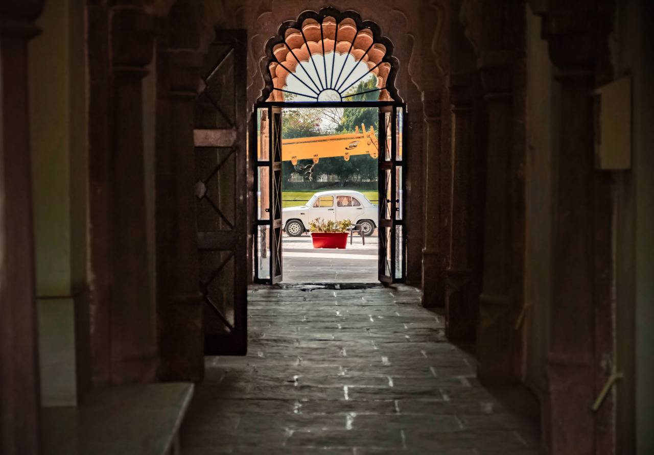 Королёк моей любви (2026) - фото №4