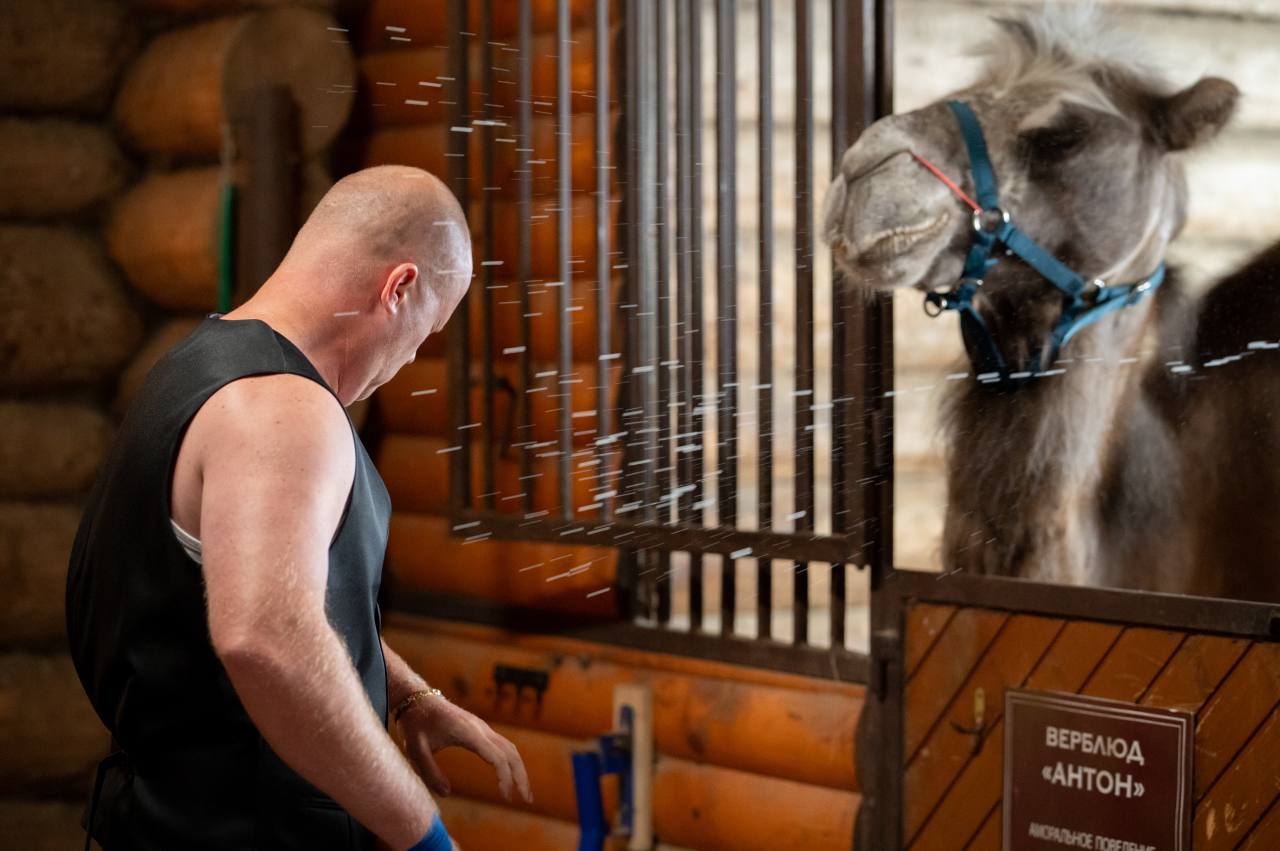 Доктор Гаф (2026) - фото №3