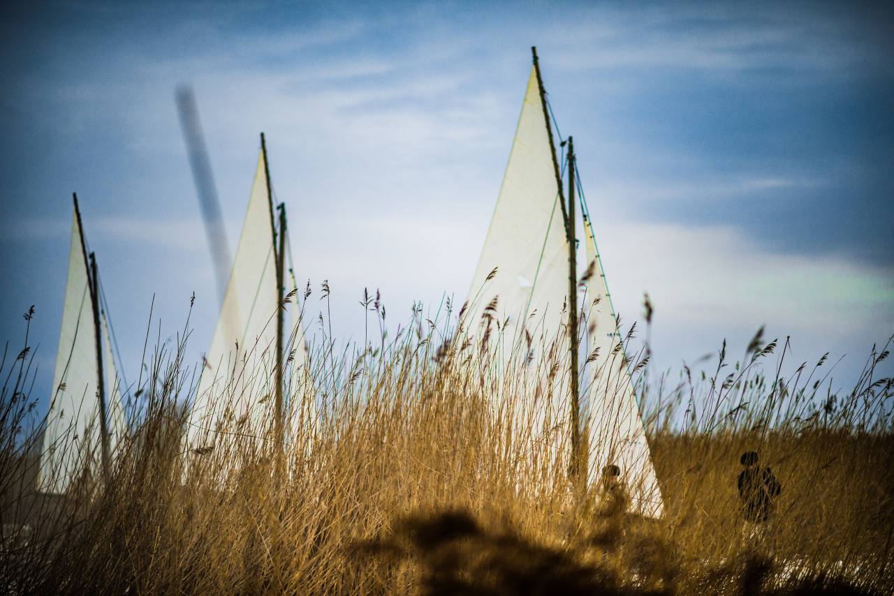 Ангелы Ладоги (2026) - фото №8