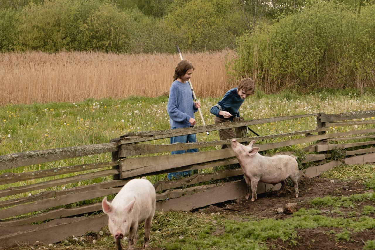 Родительский дом (2025) - фото №3