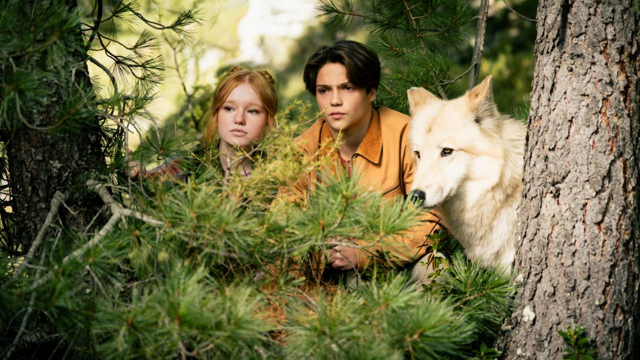 Дети леса 2 (2026) - фото №2