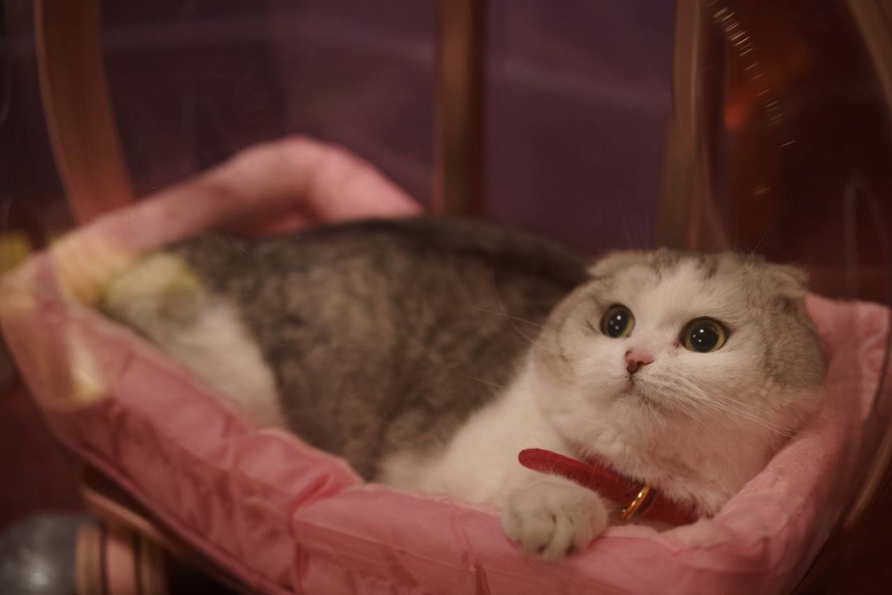 Запретный плод (2026) - фото №9