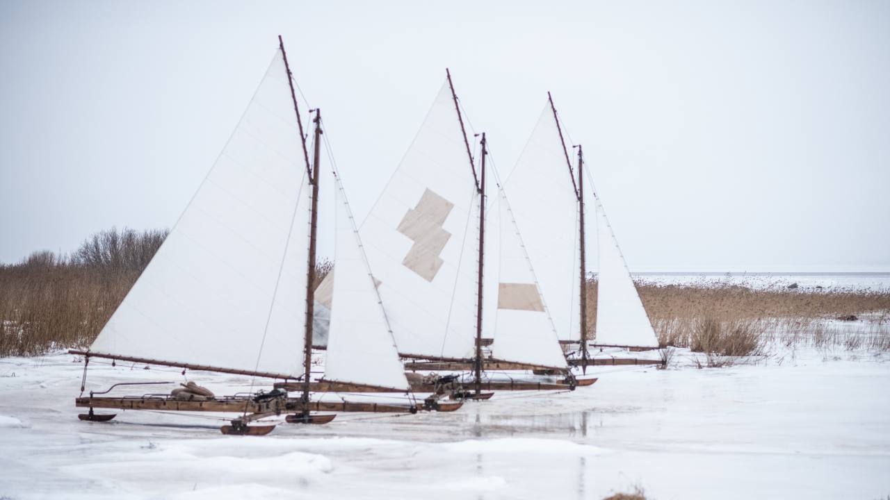 Ангелы Ладоги (2026) - фото №4