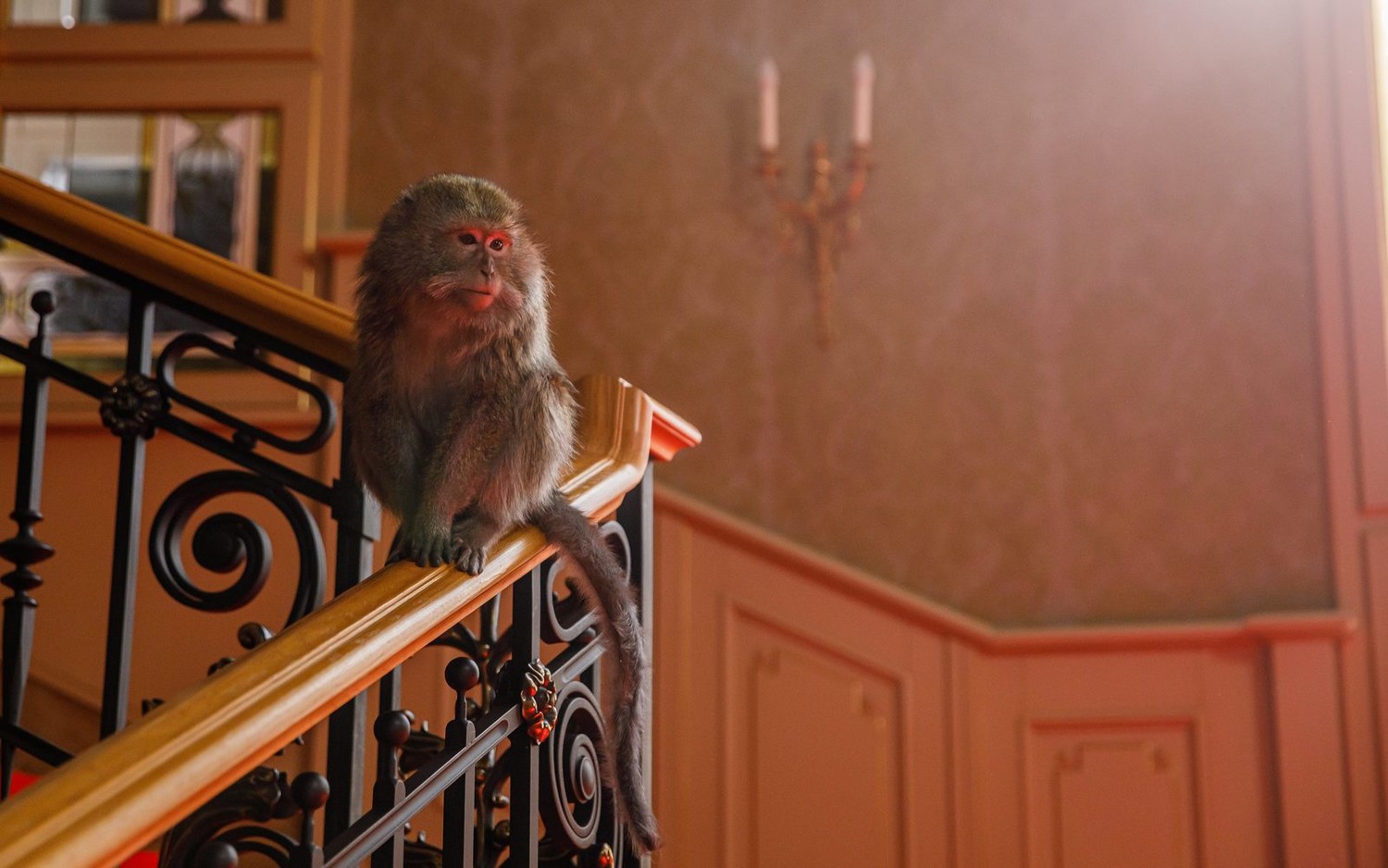 Возвращение попугая Кеши (2024) - фото №8