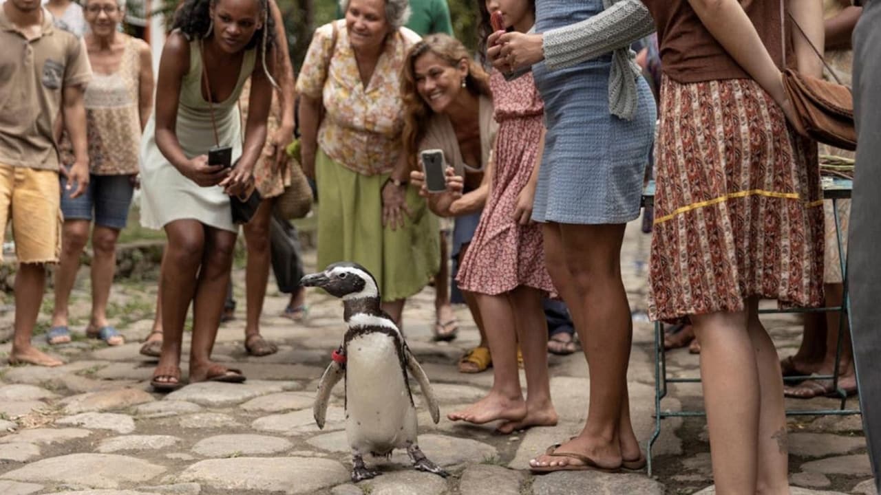 Мой пингвин (2024) - фото №8