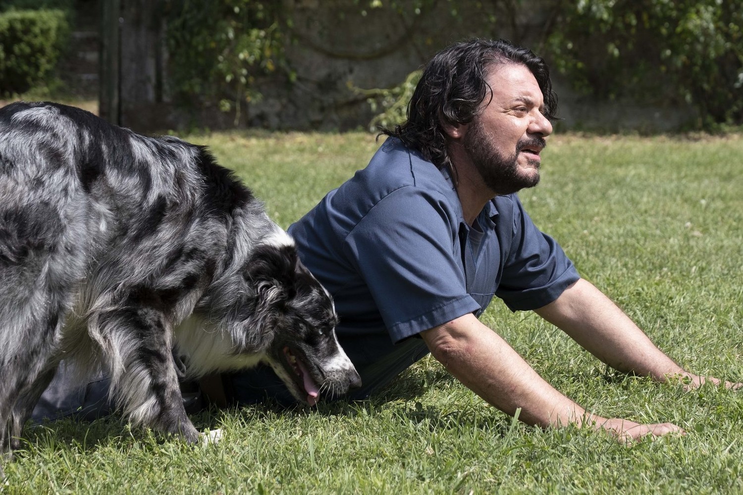 Академия четвероногих (2024) - фото №8