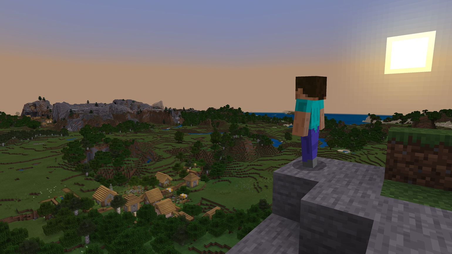 Minecraft (2011) - фото №3