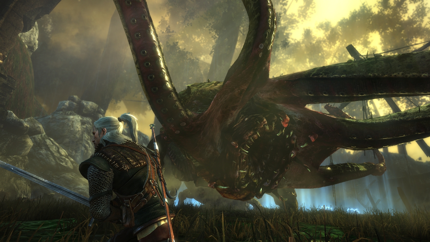 The Witcher 2: Assassins of Kings (2011) - фото №2