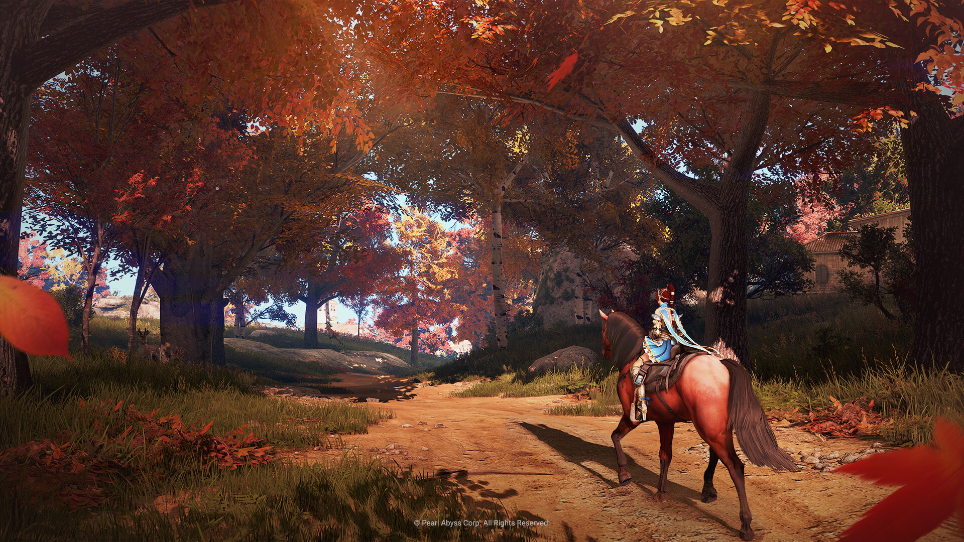 Black Desert (2015) - фото №5