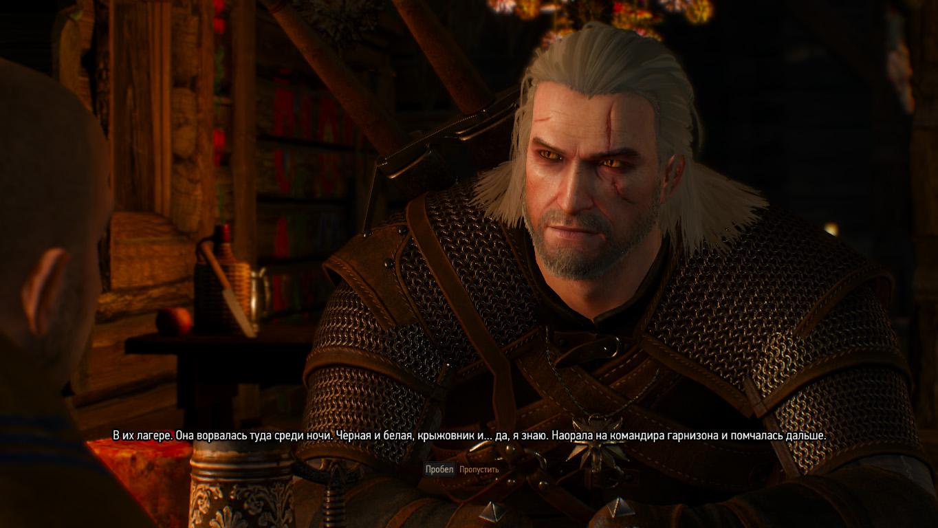 The Witcher 3: Wild Hunt (2015) - фото №4