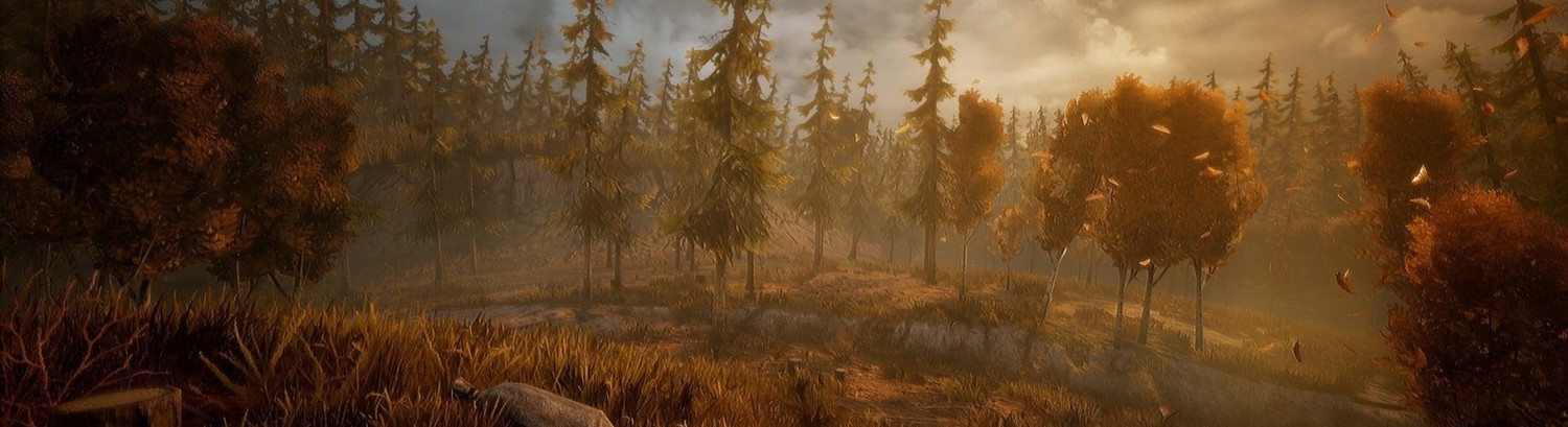 Wandering Wolf (2025) - фото №8