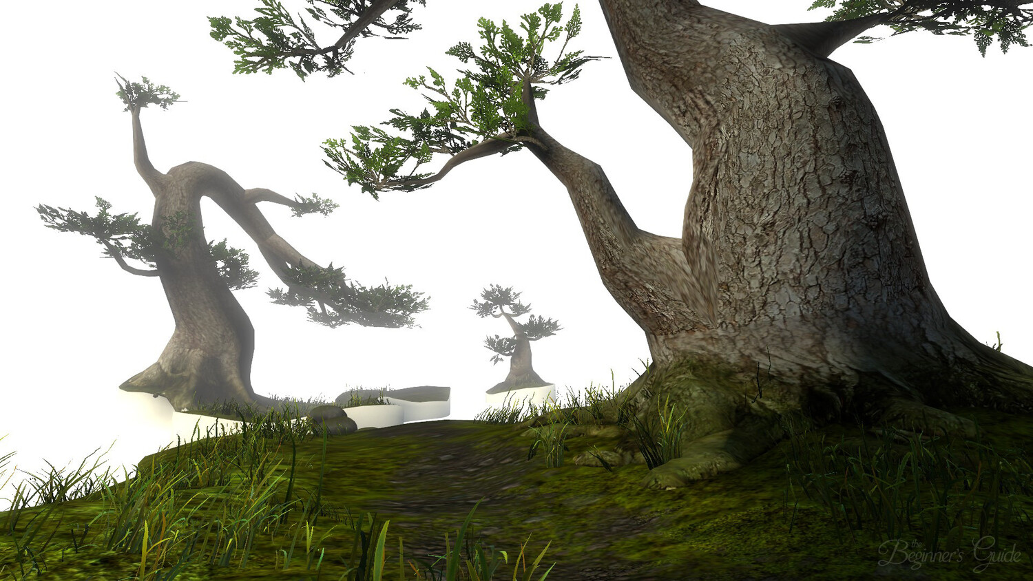 The Beginner's Guide (2015) - фото №5