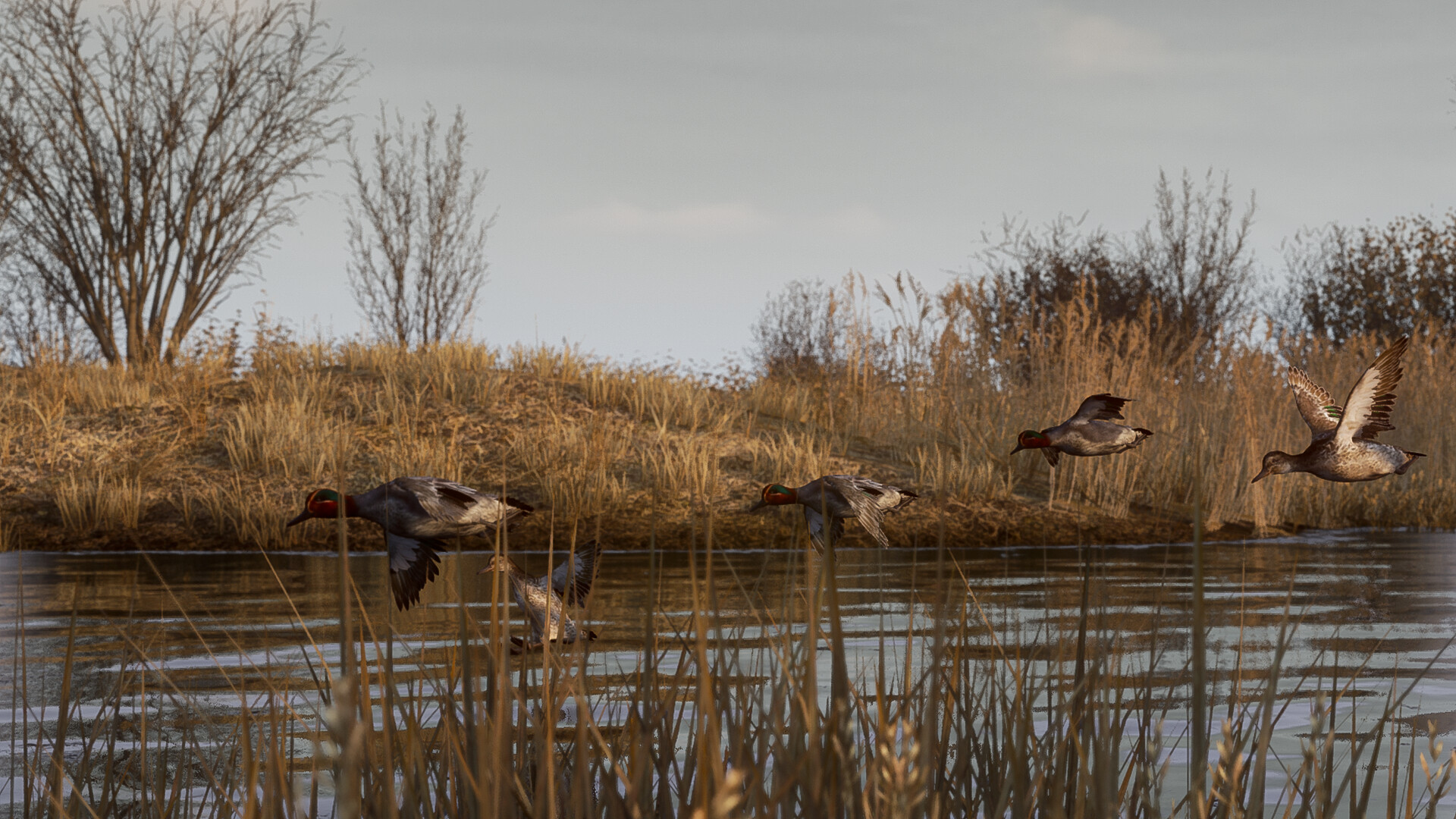 BULT: Hunting simulator (2026) - фото №2