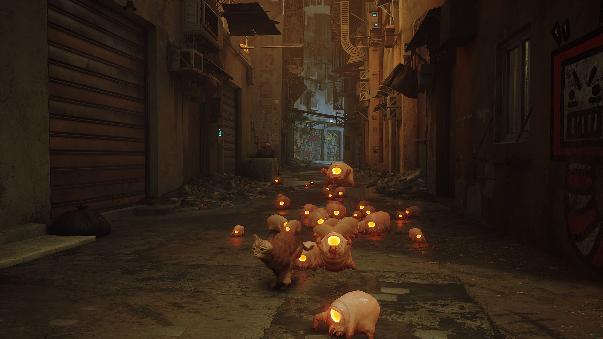 Stray (2022) - фото №8 Stray (2022) - фото №8