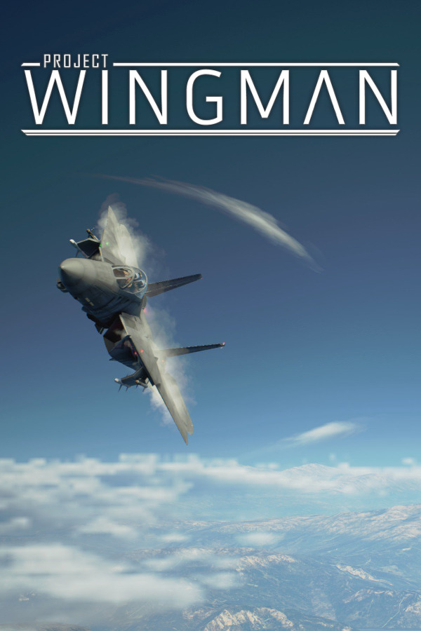 Project Wingman (2020)