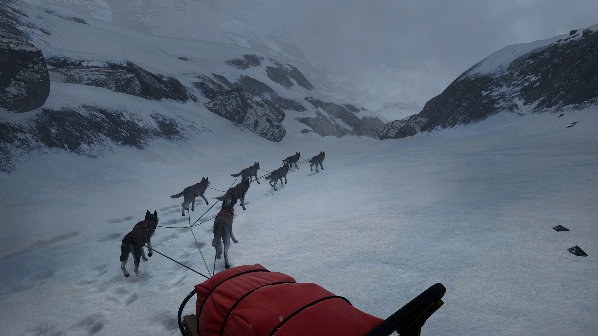 WILL: Follow The Light (2026) - фото №2